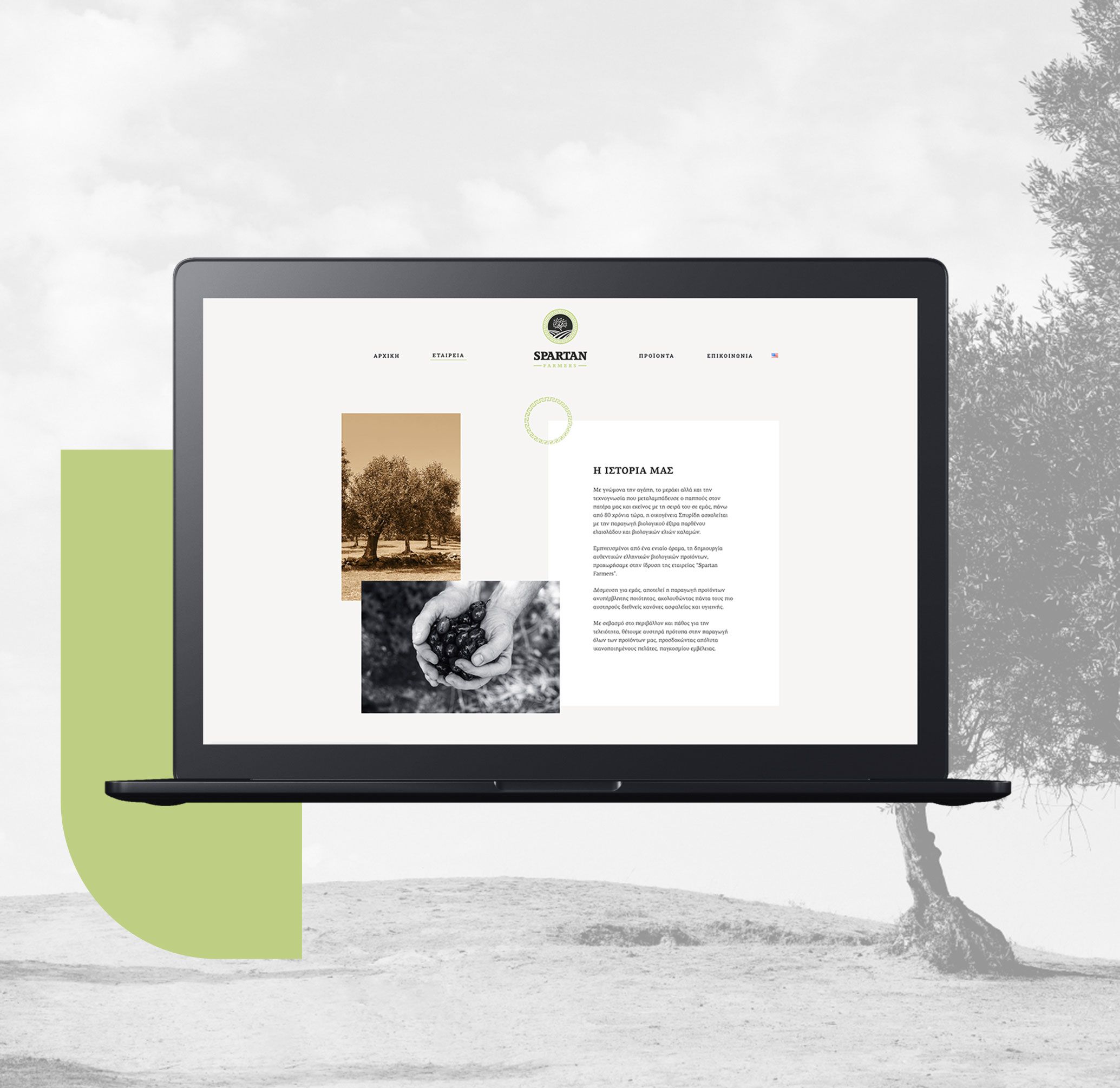 Responsive Istoselida Elaioladou