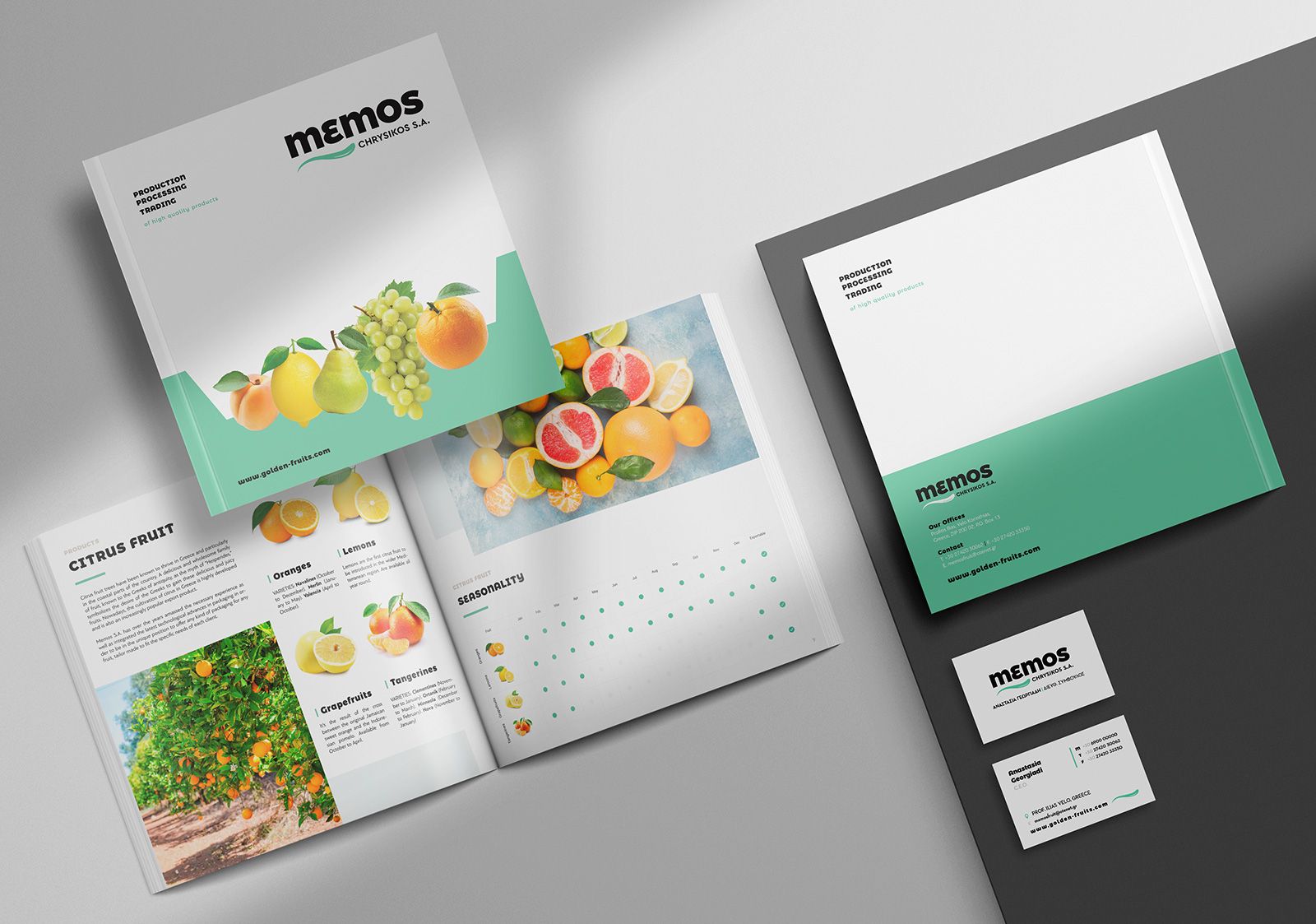 Memos Branding 1