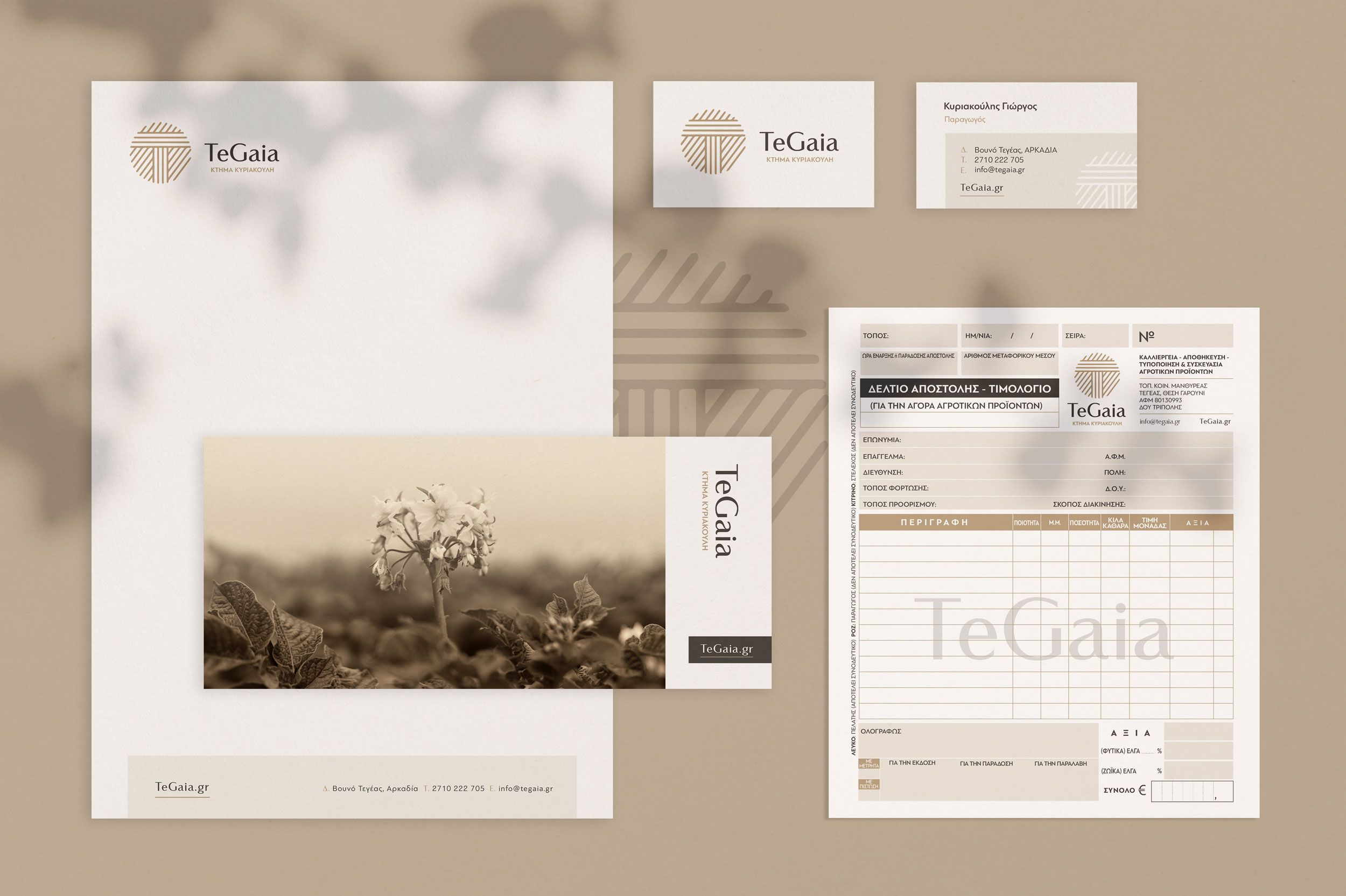 Branding Logo Branding 1