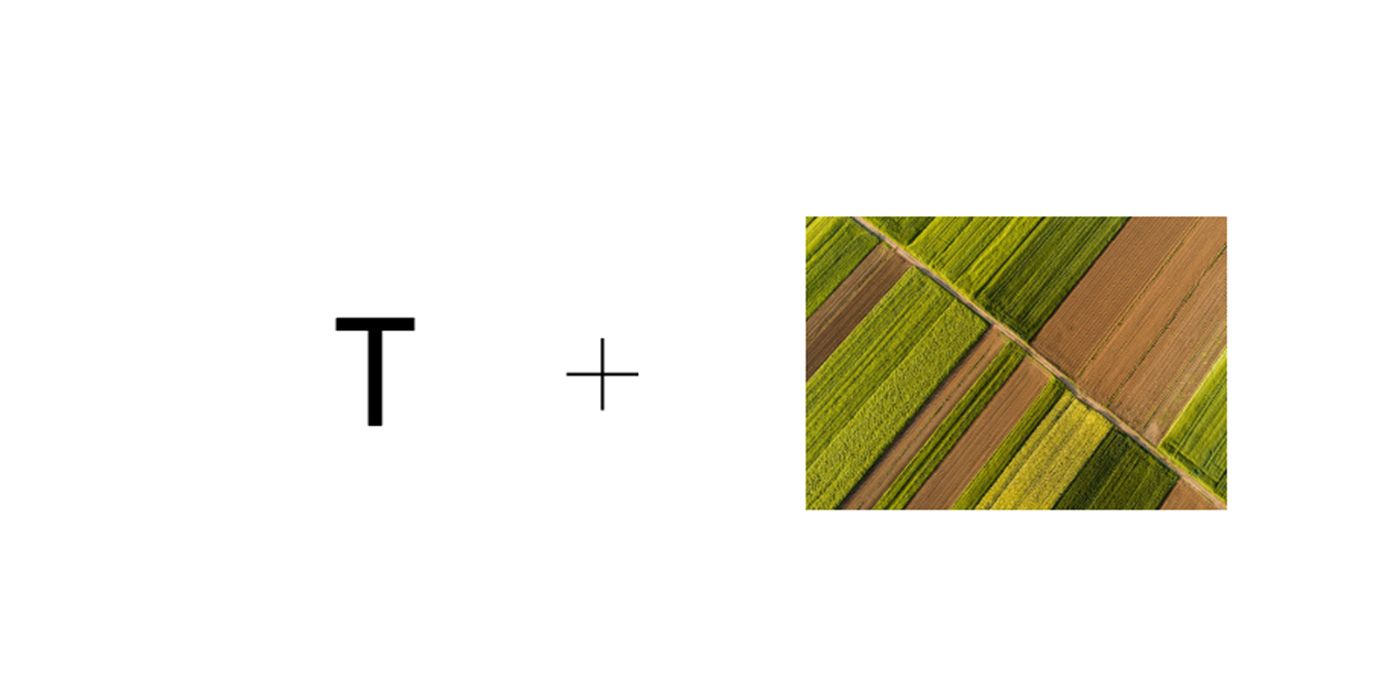 Branding Logo Idea