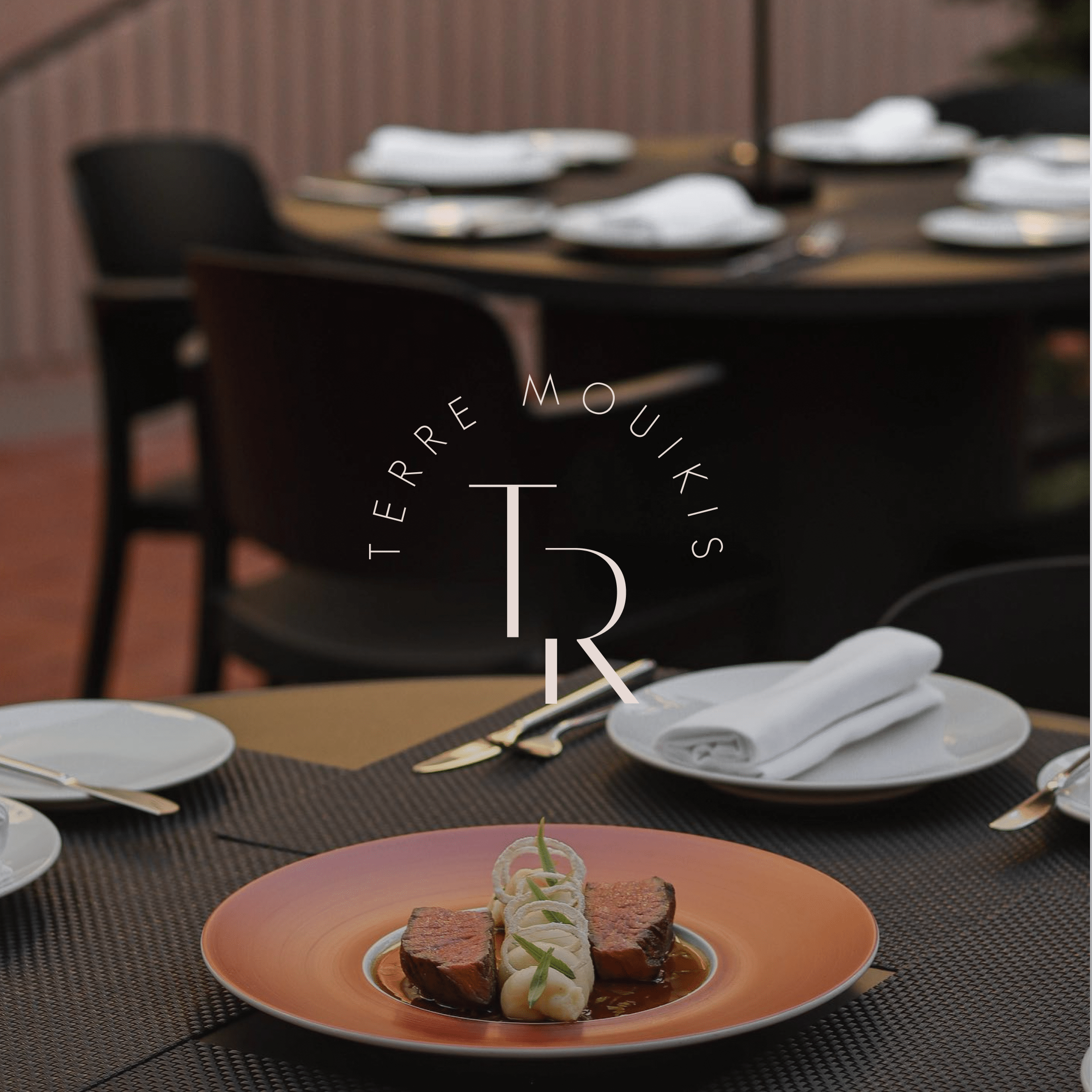 Terre Mouikis Branding 9